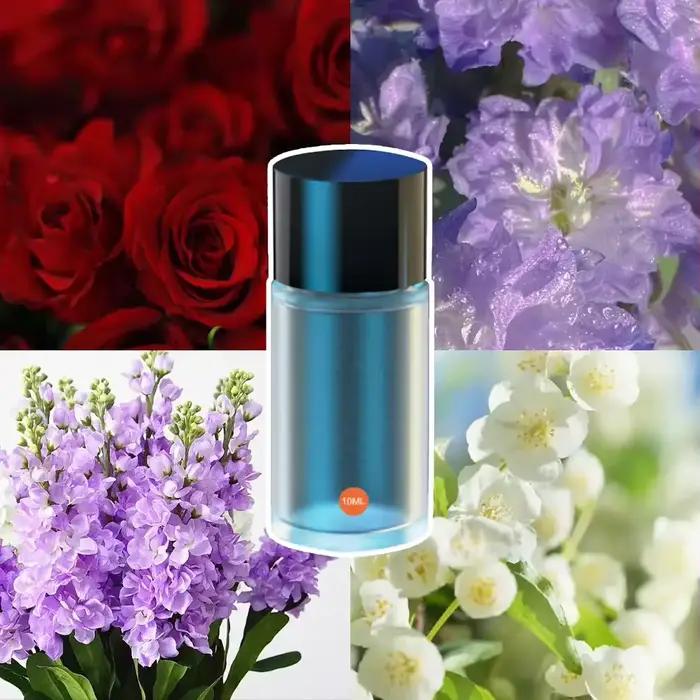 Recharge de parfum de sortie d'air de voiture, supplément d'aromathérapie liquide, huile essentielle d'arôme de bain liquide avec compte-gouttes, parfum automatique, 10ml