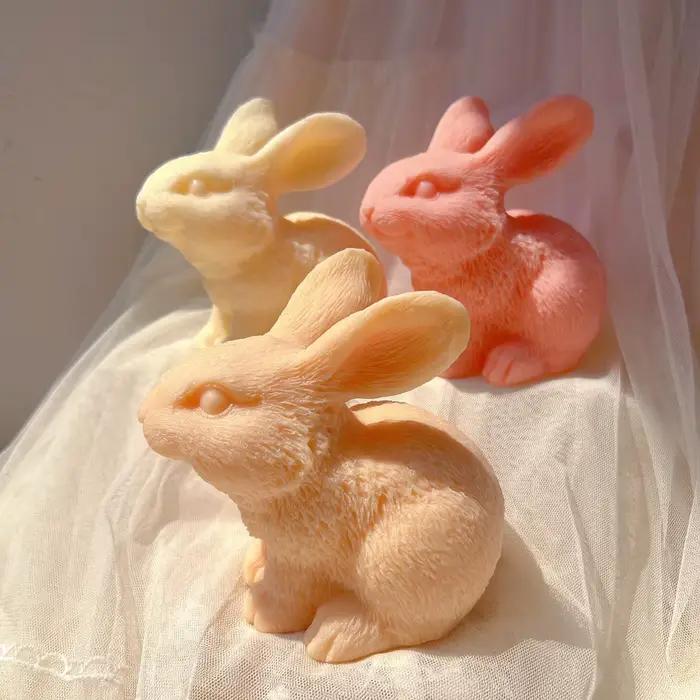 Moules à bougies en forme de lapin mignon, en Silicone, esthétique, décoration de maison, moule à cire d'animal Funky, cadeau Unique de pâques